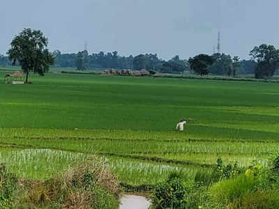 Bihar Weather Today: बढ़ती गर्मी के बीच बिहार में अगले तीन दिन बारिश का अलर्ट, किसानों के लिए खास चेतावनी