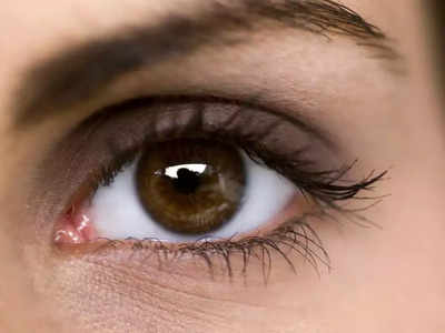 Dry Eyes Remedy : வெயில்ல கண்கள் ரொம்ப வறட்சி ஆகுதா? இந்த 5 டிப்ஸை ஃபாலோ பண்ணுங்க ஜில்லுனு ஆயிடும்...