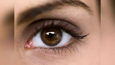 Dry Eyes Remedy : வெயில்ல கண்கள் ரொம்ப வறட்சி ஆகுதா? இந்த 5 டிப்ஸை ஃபாலோ பண்ணுங்க ஜில்லுனு ஆயிடும்...