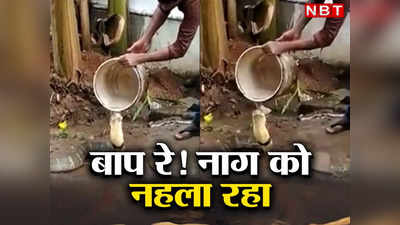 Snake Bath Video: बाल्टी में भरकर लाया पानी और किंग कोबरा के फन पर डालने लगा, वीडियो देख हैरान रह जाएंगे