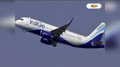 IndiGo Flight: মাঝ আকাশে মাতলামি, উড়ানের মধ্যেই বমি ও মলত্যাগের অভিযোগ