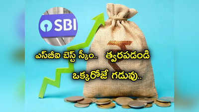 SBI Amrit Kalash: ఎస్‌బీఐ ప్రత్యేక పథకం.. కస్టమర్లకు అత్యధిక లాభం.. రేపే లాస్ట్ డేట్.. త్వరపడండి!