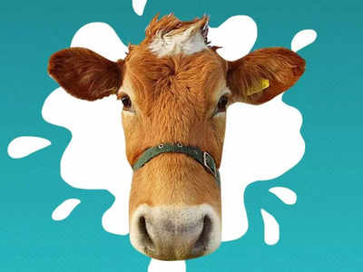 अगर आपके पास उच्च नस्ल की गाय-भैंस है तो 5 लाख जीतने का मौका! मुजफ्फरनगर पशु मेला-प्रदर्शनी की जानिए खास बातें