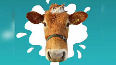 अगर आपके पास उच्च नस्ल की गाय-भैंस है तो 5 लाख जीतने का मौका! Muzaffarnagar पशु मेला-प्रदर्शनी की जानिए खास बातें