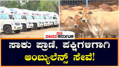 Ambulance Service: ಮಧ್ಯಪ್ರದೇಶದಲ್ಲಿ ಗಾಯಗೊಂಡ ಸಾಕು ಪ್ರಾಣಿ ಮತ್ತು ಪಕ್ಷಿಗಳಿಗಾಗಿ ಆಂಬ್ಯುಲೆನ್ಸ್ ಸೇವೆ!