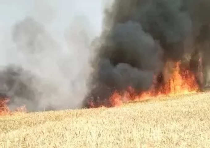 नवादा में बिजली की चिंगारी से खेत में लगी आग, 8 एकड़ गेहूं जलकर राख