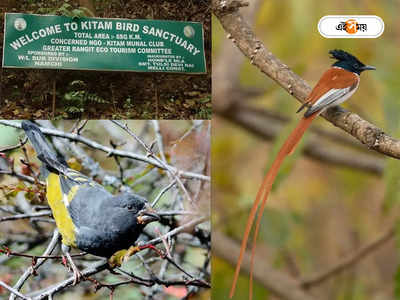 Sikkim Tourism : শোনা যাবে হাজারো পাখির গান! সিকিমে নয়া ডেস্টিনেশন কিতাম উৎসব