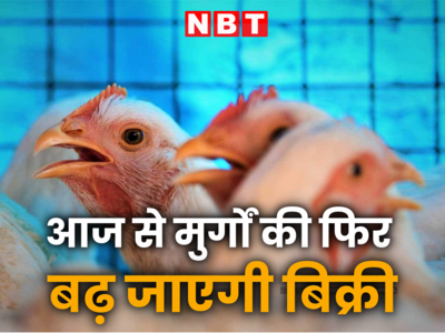 नवरात्रि में नौ दिन दुकानें बंद रहीं तो मोटे हो गए मुर्गे, अच्छा-खास बढ़ गया वजन