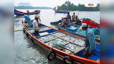 Assam goverment : জালে মাছ উঠলেই জেলযাত্রা! কেন কড়া নির্দেশিকা জারি অসমে?