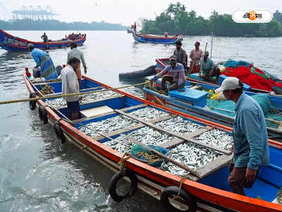 Assam goverment : জালে মাছ উঠলেই জেলযাত্রা! কেন কড়া নির্দেশিকা জারি অসমে?