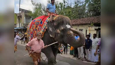 சீர்காழி வைத்தீஸ்வரன் கோயிலில் நரி ஓட்டம்.. திரளான பக்தர்கள் சுவாமி தரிசனம்..