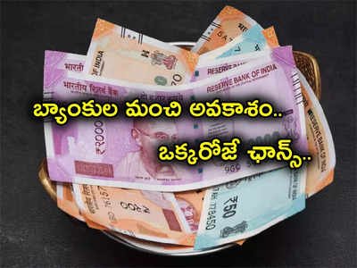 FD Schemes: లాస్ట్ ఛాన్స్.. బ్యాంకుల గొప్ప అవకాశం.. ఎక్కువ లాభం ఇచ్చే ప్రత్యేక పథకాలు ఇవే.. త్వరపడండి..