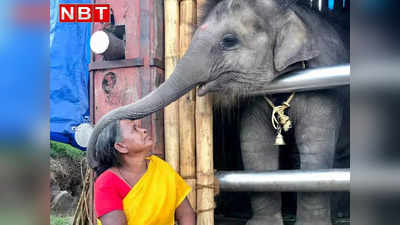 The Elephant Whisperers: हाथियों संग फुसफुसाहट ने फूंका डॉक्यूमेंट्री में जान! द एलिफेंट विस्परर्स दिल को छू गई