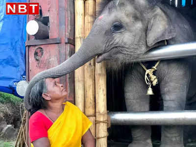The Elephant Whisperers: हाथियों संग फुसफुसाहट ने फूंका डॉक्यूमेंट्री में जान! द एलिफेंट विस्परर्स दिल को छू गई 