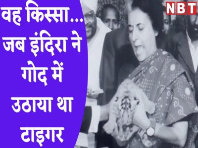 इंदिरा गांधी ने लिया था गोद, टाइगर जिंदा है लेकिन कैसे? 50 साल पहले उस प्रोजेक्ट की कहानी और देखें तस्वीरें