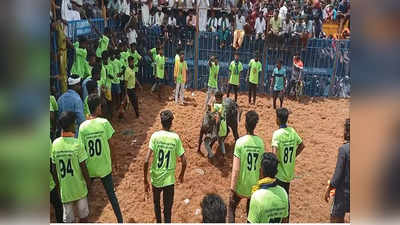 கோவில் திருவிழாவையொட்டி ஜல்லிகட்டு: புதுக்கோட்டை இளைஞர்கள் பங்கேற்பு