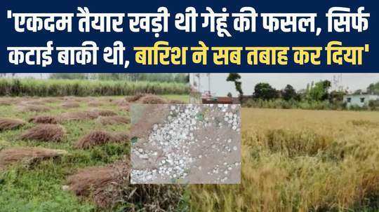 uttarakhand crop ruined due to unseasonal rains farmers upset in haridwar