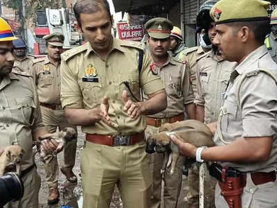 कानपुर अग्निकांड में सामने आया पुलिस का मानवीय चेहरा, 6 पिल्‍लों की जान बचा कर जीत लिया दिल