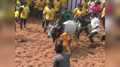 கறம்பக்குடி அருகே மாபெரும் ஜல்லிக்கட்டு.. ஸ்ரீ முத்துமாரி அம்மன் கோயில் திருவிழாவை முன்னிட்டு போட்டி கோலாகலம்..