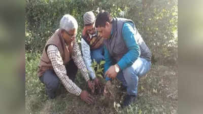 Gorakhpur: यूपी के जूलॉजी के प्रफेसर चला रहे कल्पवृक्ष बचाने का अभियान, अब तक 17 हजार से ज्यादा पौंधे बांट चुके