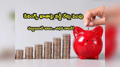 Savings Account: ఈ బ్యాంకులో సేవింగ్స్ అకౌంట్ ఉందా? మీకో గుడ్‌న్యూస్.. వడ్డీ రేట్లు భారీగా పెంపు!