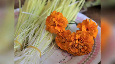 april 2023 festivals: ಏಪ್ರಿಲ್‌ ತಿಂಗಳಲ್ಲಿ ನೀವು ಯಾವೆಲ್ಲಾ ಪ್ರಮುಖ ಹಬ್ಬಗಳನ್ನು ಆಚರಿಸಬಹುದು ಗೊತ್ತೇ..?