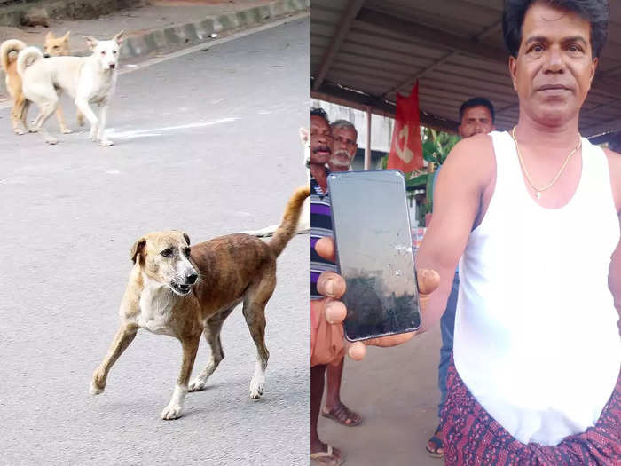 Puthenvelikara Dog Attack