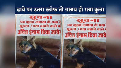 IAS अफसर का प्यारा कुत्ता ढाबे से हो गया गुम, पुलिस के छूट रह पसीने