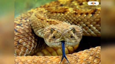 Snake Bite : সাপের কামড়ও নথিভুক্তির বাধ্যতার আওতায়