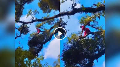 Viral Video: पेड़ पर चढ़कर काट रही थी लकड़ी, पहाड़ी महिला की हिम्मत देखकर लोगों ने किया सैल्यूट