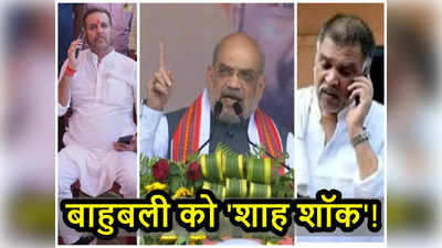 बिहार के बाहुबली को भी शॉक दे गए शाह, नवादा से सांसद भाई का पत्ता साफ! 2024 में अब BJP लड़ेगी चुनाव