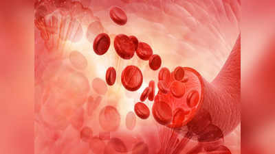 Blood Circulation:రక్తప్రసరణ సక్రమంగా జరగాలంటే .. ఇవి తినండి..!