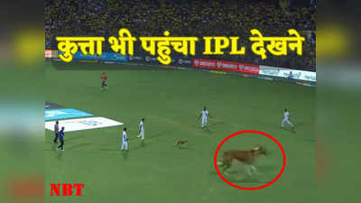 IPL 2023: कुत्ते की वजह से हुई मैच में देरी, मैदान पर जमकर मचाया आतंक, 12 लोग भी मिलकर नहीं पकड़ पाए
