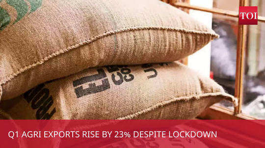 despite lockdown q1 agri exports jump upto 23 per cent