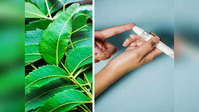 Neem For Diabetes: নিমের গুণে উধাও হবে সুগার, রক্তে শর্করা কমাতে কী ভাবে খাবেন তা জানেন কি?