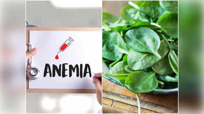 Anemia Symptoms: দুর্বলতা, শ্বাসকষ্ট হতে পারে অ্যানিমিয়ার লক্ষণ, সুস্থ থাকতে সত্ত্বর এই খাবারগুলি খাওয়া শুরু করুন