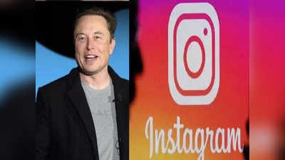 Elon Musk ने Instagram यूजर्स को कहा मंदबुद्धि! मिला ऐसा जवाब कि लोग हुए लोटपोट