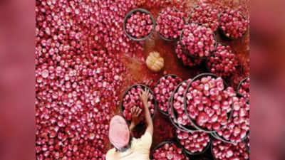 Onion Rates Maharashtra: अनुदानानंतर कांद्याला एका किलोला अवघा २५ पैशांचा भाव; व्यापाऱ्यांची चांदी