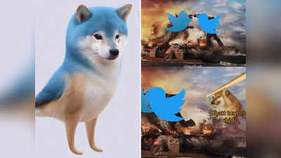 Blue Bird Replace: एलन मस्क क्या करके मानेंगे? Twitter पर नीली चिड़िया की जगह दिखने लगा ये कुत्ता