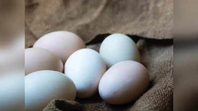 Duck Eggs vs Chicken Eggs: হাঁসের ডিম না মুরগির, কোনটা খেলে বেশি উপকার পাওয়া যায়? আর কোনটাই বা এড়িয়ে চলা উচিত?