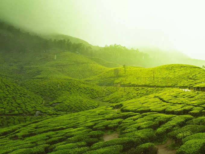 ಮೈಸೂರು ಟು ಚಿಕ್ಕಮಗಳೂರು