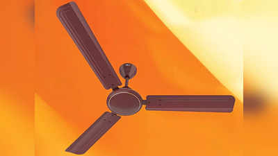 Havells Reo Fan: फास्ट एयर फ्लो के साथ एनर्जी सेविंग में भी नंबर वन हैं ये Ceiling Fan, रूम को देंगे टॉप लुक