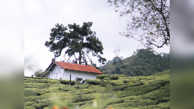 വാസ്തു പ്രകാരം ദിശ അനുസരിച്ച് വീടിന്റെ പുറം ഭിത്തിക്ക് നല്‍കാവുന്ന നിറങ്ങള്‍