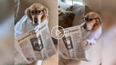 Dog Cute Video: आंखों पर चश्मा लगाकर अखबार पढ़ता दिखा कुत्ता, वीडियो देख खिल उठेगा चेहरा!