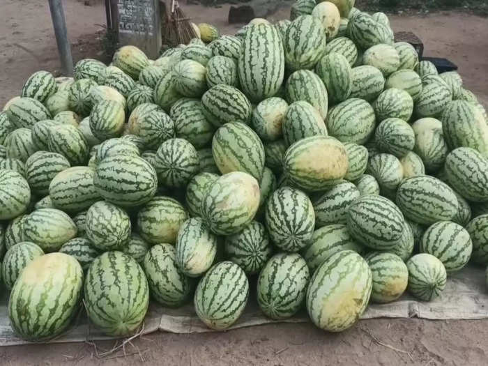 Ramanathapuram watermelon sales increase