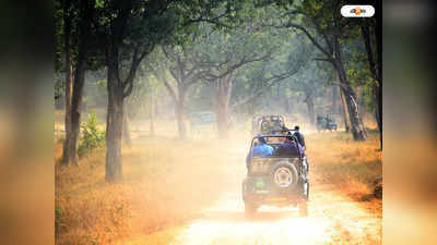 Jaldapara Jungle Safari : জলদাপাড়ায় এবার প্যাকেজ জঙ্গল পর্যটন, থাকছে সাফারি-থাকা-খাওয়ার ব্যবস্থা