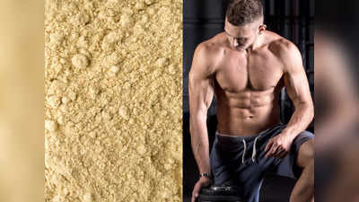 Herbal Protein Powder: नसों की कमजोरी को दूर कर नई मसल ग्रोथ देंगे ये प्रोटीन पाउडर, ट्राय करके देखें फर्क