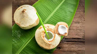 Tender Coconut Water : இளநீர் அதிகமாக குடிச்சா இத்தனை பக்க விளைவுகள் வருமாம்... யாரெல்லாம் குடிக்கவே கூடாது?