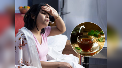 High Fever Remedy : अंग भाजून निघणाऱ्या तापामुळे मोडून निघालंय शरीर? चहात टाका फक्त हे ३ आयुर्वेदिक पदार्थ