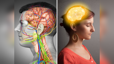 Health News: मर्दों से छोटा होता है महिलाओं का दिमाग! मगर इसके हैं अपने ही फायदे